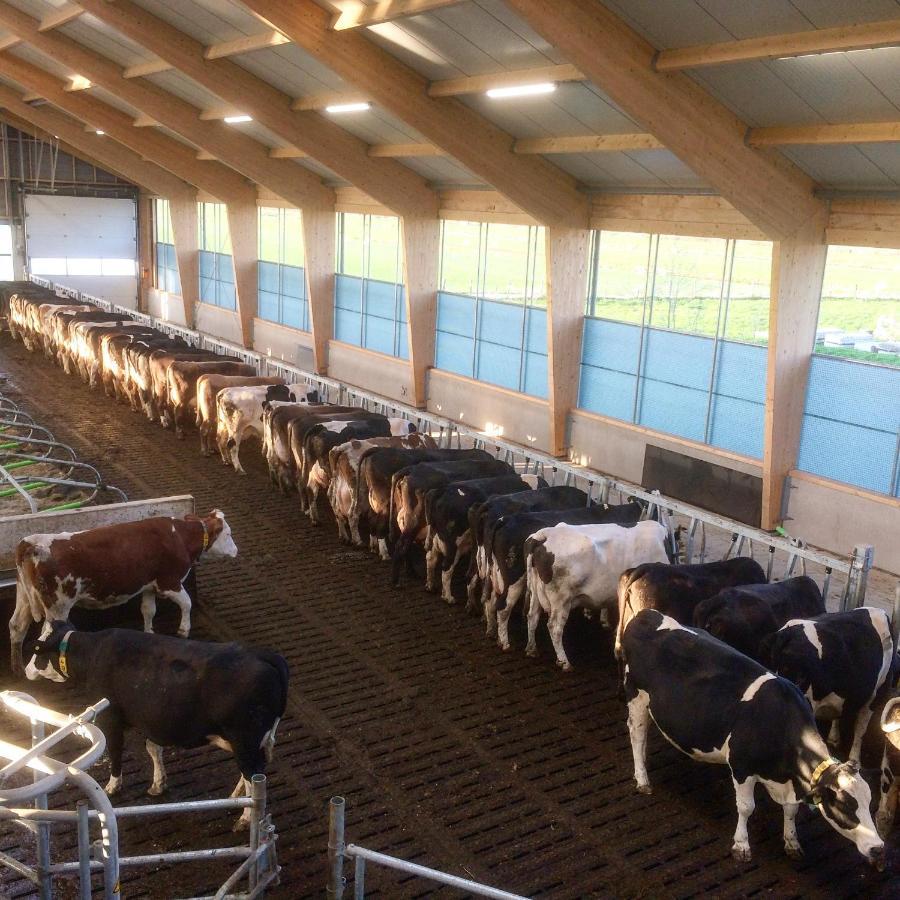 Ruyge Weyde Logies, Eco Farm Leilighet Oudewater Eksteriør bilde